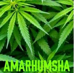 AmaRhumsha – Isivungu Vungu