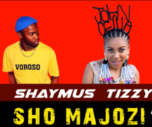 Shaymus Tizzy – Sho Majozi