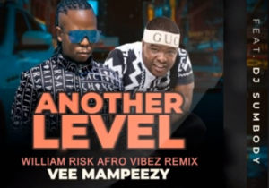 Vee Mampeezy ft Dj Sumbody – Another Level (William Risk’s Afro Vibez Remix)