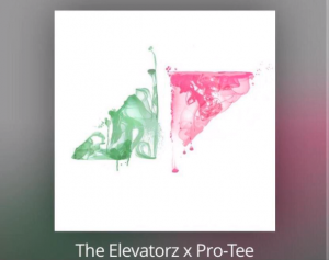 The Elevatorz x Pro-Tee – For Avicii (Without You Gqom Remake)