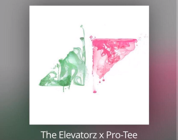 The Elevatorz x Pro-Tee - For Avicii (Without You Gqom Remake)