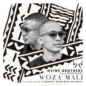 Dvine Brothers, Nokwazi – Woza Mali (Incl. Remixes)