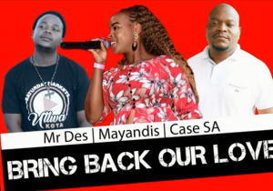 Mr Des x Mayandis & Case SA – Bring Back Our Love (Original)