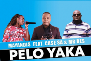 Mayandis – Pelo Yaka Feat. Case SA & Mr Des