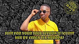 Ceega Wa Meropa – Just For Your Soul Session 22 (Guest Mix)