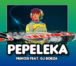 Mukosi feat. DJ Bobza – PEPELEKA