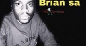 Brian SA - Fly Away