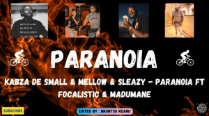 Kabza De Small, Mellow & Sleazy – Paranoia ft Focalistic & Madumane