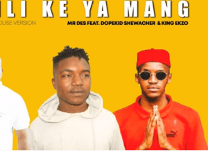 Mr Des – Bili Ke Ya Mang Ft. Dopekid Shewacher & King Ekzo (Afro House 2021)