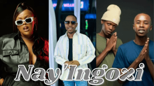 DBN Gogo, Felo Le Tee, Mellow and Sleazy – Nay’Ingozi ft Young Stunna & Sizwe Alakine