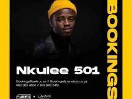 Nkulee501 ft Zan SA & Fanarito – Related (Main Mix)