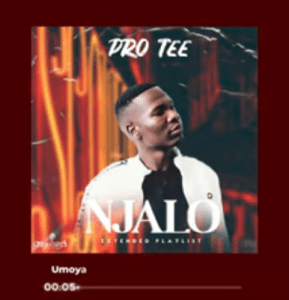 Pro-Tee – Umoya Wothando ft Airic & Nolly M