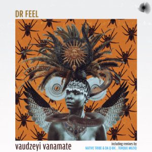 Dr Feel – Vaudzeyi Vanamate EP