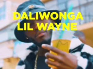 Daliwonga , Lil Wayne & Chris Brown – Abo Mvelo
