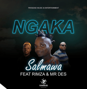 Salmawa – Ngaka Ft Rimza SA & Mr Des