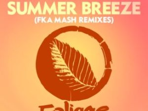 N’Dinga Gaba & Sahffi – Summer Breeze (Fka Mash Re-glitch)