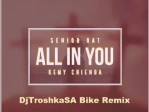 Senior Oat – All In You Ft Kemy Chienda (DJTroshkaSA Bike Remix)