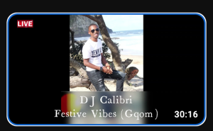 DJ Calibri – Festive Vibes (Gqom)