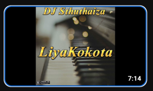 DJ Sthuthaiza – LiyaKokota