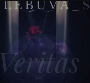 DJ Lebuva SA - Veritas