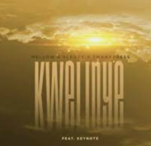 kwelinye mp3 download
