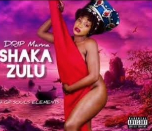 Drip Mama - Shaka Zulu ft GP SOULS ELEMENTS