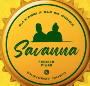 dj karri savanna mp3 download