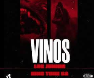 Log Junior - Vinos [Main Mix] ft. King Tone SA