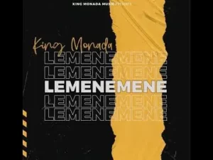 King Monada - Lemenemene ( Dj Nelcee amapiano remix)