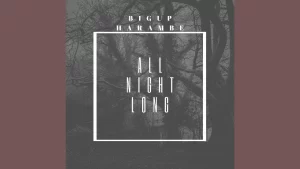 BigUp Harambe - All Night Long 