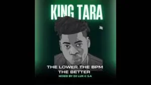 The Lower The Bpm The Better Vol 8 - Mixed By Dj Luk-C S.A (The Best of King Tara