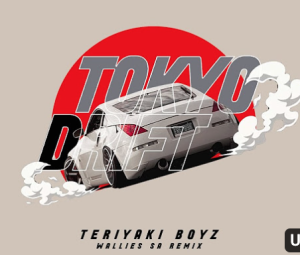 Teriyaki Boyz - Tokyo Drift (Wallies SA Remix)