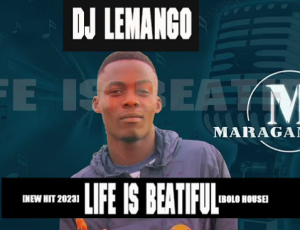 Dj Lemango - Life is Beatiful 