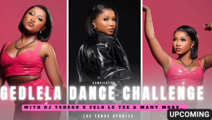 Dj Tshegu X Felo Le Tee - Gedlela Dance Challenge 