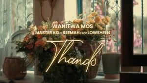 Wanitwa Mos,Master KG & Seemah - Thando Ft Lowsheen (Official Audio)