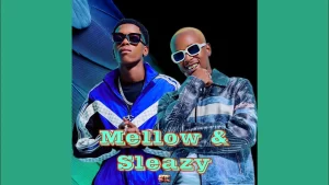 Mellow & Sleazy - Ndiya ft. Xduppy, ShaunMusiQ, Ftears