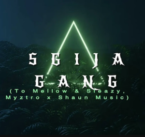 Sgija Gang (To Mellow & Sleazy, Myztro x Shaun Music Dj Maphorisa ) By Dj DBongza Rsa & Sthipla Rsa