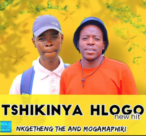 Nkgetheng The Dj & Mogamaphiri - Tshikinya Hlogo 