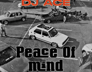 DJ Ace - Peace of Mind Vol 66 AMA 45 MIX 