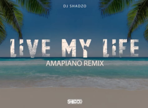 DJ ShadzO - Live My Life (Amapiano Remix)