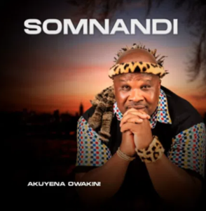 Somnandi – Ngawa Ngashelelela
