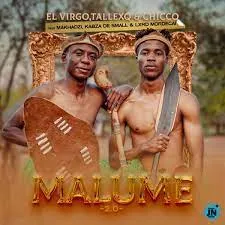 Malume 2.0 mp3 download