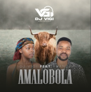 Dj Vigi ft. Anande - Amalobola