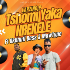 Lapzino P – Tshomi Yaka Nrekeale Ft OkBhuti Dess & Mowtype