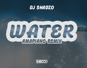 DJ ShadzO - Water (Amapiano Remix)