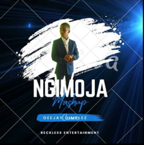 DJ Dimplez - Ngimoja Mashup