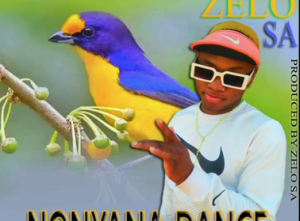 Zelo SA ( Nonyana Dance Olaa Hit )Ft Jelisto x Peace 47 x Johny Malekere & Dizaina SA