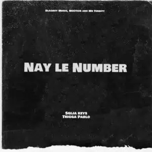 Sgija Keys & TriggaPablo – Nay Le Number Ft. Blaqboy Musiq, M00tion & Mr Ternity
