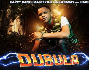 HarryCane x Master KG & DJ Latimmy Ft Eemoh - Dubula (Nyusa Nyusa) 