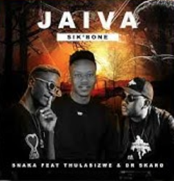 Snaka - Jaiva Sik'Bone Ft. Thulasizwe & Dr Skaro